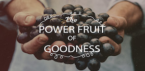 The Power Fruit of Goodness